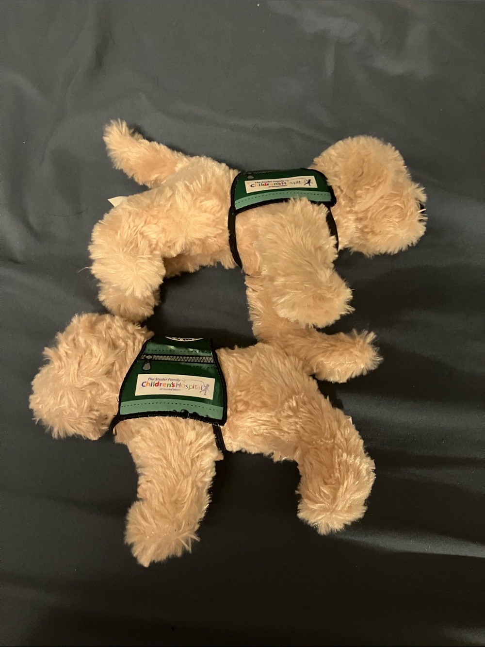 Children’s Hospital Canine Assistant Dogs set of 2